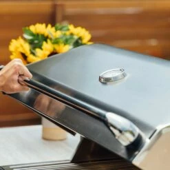 Alturi Grills 30-Inch 2-Burner Built-In Propane Gas Grill With Stainless Steel Burners And Rear Infrared Burner -BBQDIRECT Shop Alturi Grills Lifestyle Image Easy Hood 3