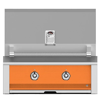 Aspire By Hestan 30-Inch 2-Burner Built-In Propane Gas Grill - Citra 3 Aspire By Hestan 30-Inch 2-Burner Built-In Propane Gas Grill - Citra