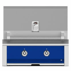 Aspire By Hestan 30-Inch 2-Burner Built-In Propane Gas Grill - Prince
