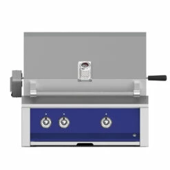 Aspire By Hestan 30-Inch 2-Burner Built-In Natural Gas Grill With Infrared Rotisserie Burner - Prince