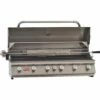 Bull BBQ Diablo 47-Inch 6-Burner Built-In Natural Gas Grill With Rear Infrared Burner