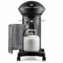 Fuego Grills Element 21-Inch 2-Burner Propane Freestanding Gas Grill - Carbon Steel