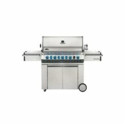 Napoleon Prestige PRO 665 RSIB Propane Gas With Infrared - Stainless Steel 14 Napoleon Prestige PRO 665 RSIB Propane Gas With Infrared - Stainless Steel -BBQDIRECT Shop Napoleon PR0 Prestige PRO 665 Propane Gas Grill with Infrared Rear Burner and Infrared Side Burner Angled View Front View With Projection Accent Lighting Off