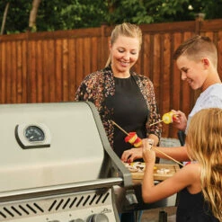 Napoleon Rogue SE 425 RSIB Propane Gas Grill With Infrared Rear & Side Burner - Stainless Steel 14 Napoleon Rogue SE 425 RSIB Propane Gas Grill With Infrared Rear & Side Burner - Stainless Steel -BBQDIRECT Shop Napoleon Rogue SE 425 RSIB Propane Gas Grill with Infrared Rear and Side Burner Stainless Steel Mom Lifestyle