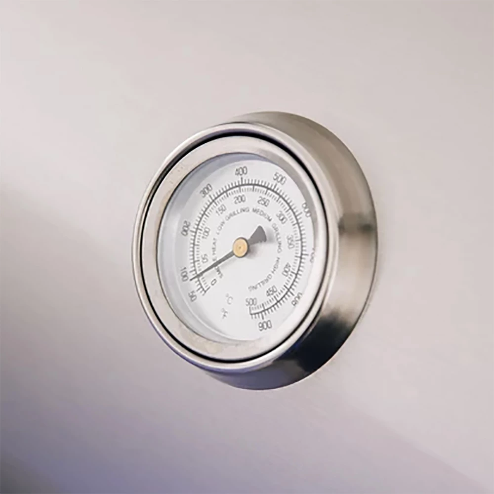 RCS Premier Series 40-Inch 5-Burner Built-In Propane Gas Grill With Rear Infrared Burner 7 RCS Premier Series 40-Inch 5-Burner Built-In Propane Gas Grill With Rear Infrared Burner - Image 5