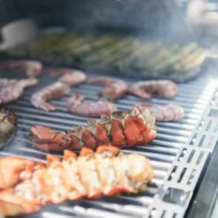 Saber Grills Stainless 500 32-Inch 3-Burner Freestanding Infrared Propane Gas Grill With Dual Ring Side Burner -BBQDIRECT Shop Saber Grills Stainless 500 3 Burner Freestanding Gas Grill R50SC0017 Lifestyle Food Close Up