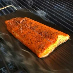 TEC Grills Patio FR 44-Inch Infrared Natural Gas Grill On Stainless Cabinet 13 TEC Grills Patio FR 44-Inch Infrared Natural Gas Grill On Stainless Cabinet -BBQDIRECT Shop TEC Patio FR 26 inch Built in Grill salmon 4