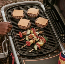 Weber Grills Traveler Portable Propane Gas Grill - Stealth -BBQDIRECT Shop Traveler PDP Features3 1