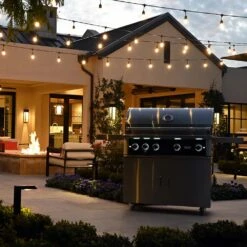 Wildfire Ranch Pro 42-Inch Black 304 Stainless Steel Freestanding Propane Gas Grill -BBQDIRECT Shop WF 42 GRILL CART LIGHTS YARD 1