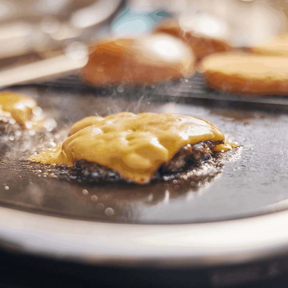 Weber Grills Cast Iron Griddle Insert For Weber Lumin 2000 Electric Grills 4 Weber Grills Cast Iron Griddle Insert For Weber Lumin 2000 Electric Grills - Image 2