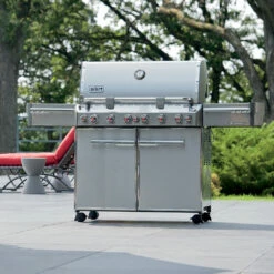 Weber Grills Summit S-670 Propane Gas Grill With Rotisserie, Sear Burner, And Side Burner -BBQDIRECT Shop Weber Grills Summit S 670 Propane Gas Grill with Rotisserie Sear Burner and Side Burner 7370001 Mood