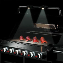 Weber Grills Summit E-670 Propane Gas Grill With Rotisserie, Sear Burner & Side Burner - Black -BBQDIRECT Shop Weber Summit E 670 handle lights