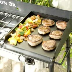 Camp Chef 16-Inch X 14-Inch Professional Flat Top Griddle -BBQDIRECT Shop sg14 dinner